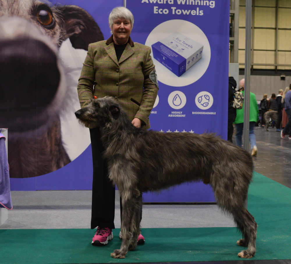 Dog RCC Crufts 2024